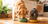 food-and-treats.png