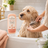 Silky Paws Detangling Conditioner - Image 4