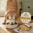 Gentle Chicken Senior Dog Stew - Image 4