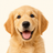 life-stage-puppy-avatar.png
