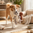 Zoomies Plush Squeak Squirrel - Image 5