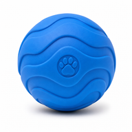 Bounce Buddy Rubber Fetch Ball - Image 1
