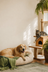 promo-cozy-corner.png