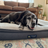 testimonial-photo-morgan-bear.png