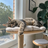 testimonial-photo-priya-mochi.png